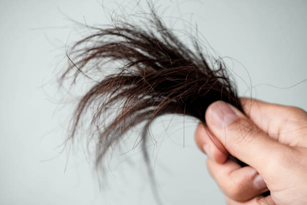 冬天髮質毛躁變差？多靜電還易折斷？ 4招拯救冬季乾燥毛髮