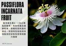 Load image into Gallery viewer, G78 HAIR CARE - ALL IN ONE TRAVEL KIT - SHAMPOO + TREATMENT + BODY WASH