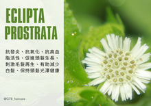 Load image into Gallery viewer, G78 HAIR CARE - ALL IN ONE TRAVEL KIT - SHAMPOO + TREATMENT + BODY WASH