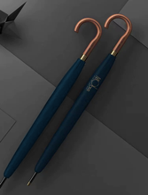 Load image into Gallery viewer, MOBUIS Umbrella