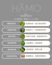 Load image into Gallery viewer, 思琦約定你007 - HAMO 洗護套裝 $336 （包括洗頭水一支及護髮素一支 各500ml) -原價$480
