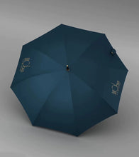将图片加载到图库查看器，MOBUIS Umbrella
